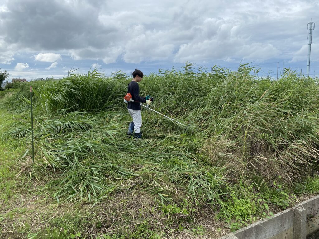 環境美化運動　実施！