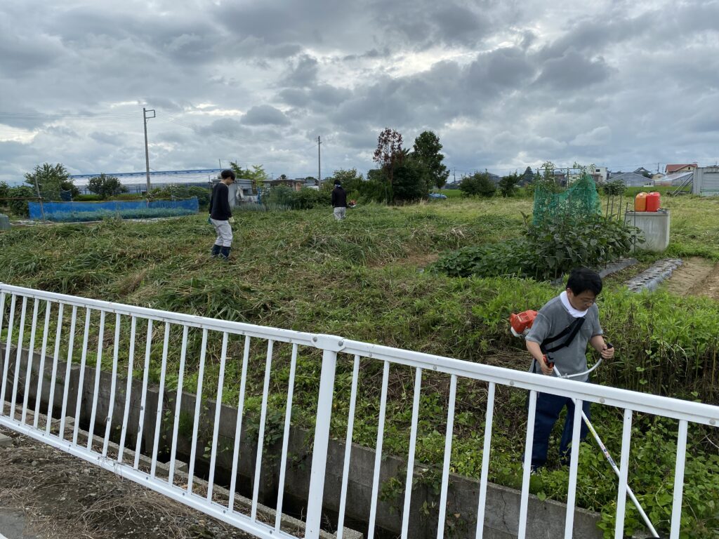 環境美化運動　実施！