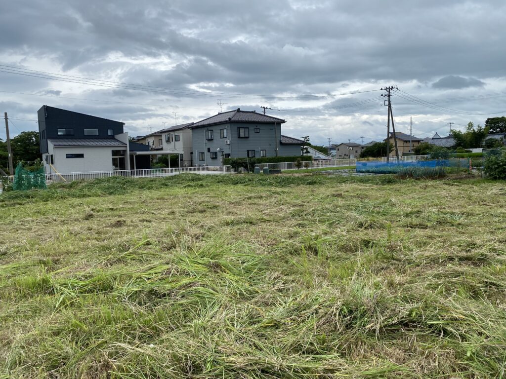 環境美化運動　実施！